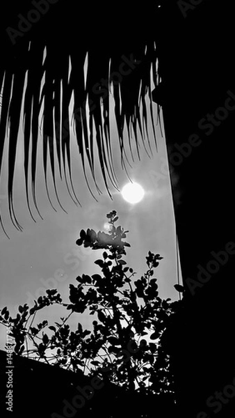 Obraz Abstract black and white