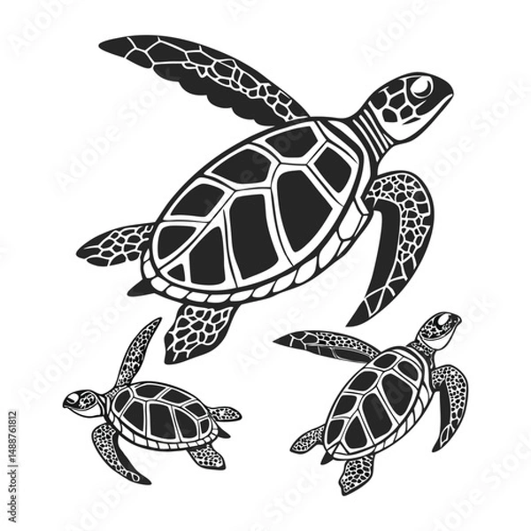 Obraz A set of  simple black and white illustration of a sea turtle viewed from above. The turtle has a detailed shell with geometric patterns, flippers extended, and a textured head.