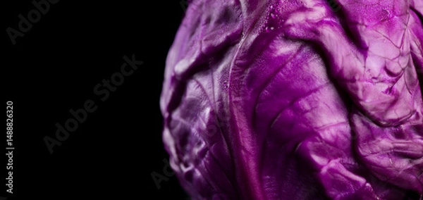 Fototapeta Red cabbage macro shot, whole head of cabbage over black background, border design. Eco vegetables,  bio violet cabbage, vegan food, heathy eating concept 