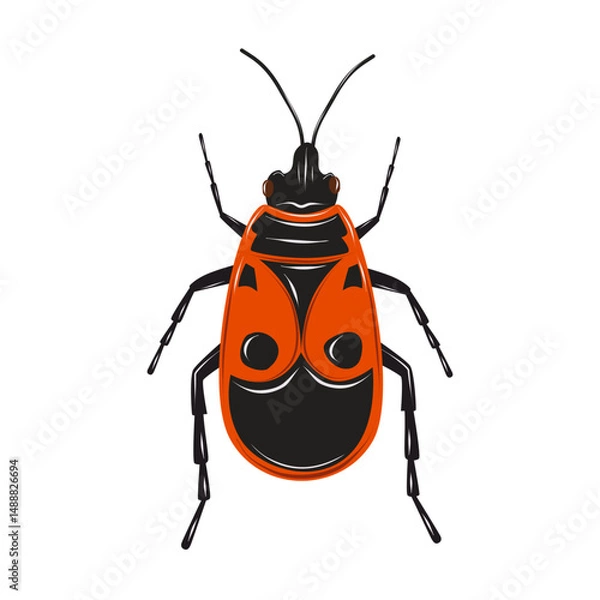 Fototapeta Firebug insect on a white background. Red and black beetle. Isolated vector illustration. 