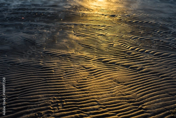 Fototapeta Sand Ripples Illuminated by Golden Sunlight