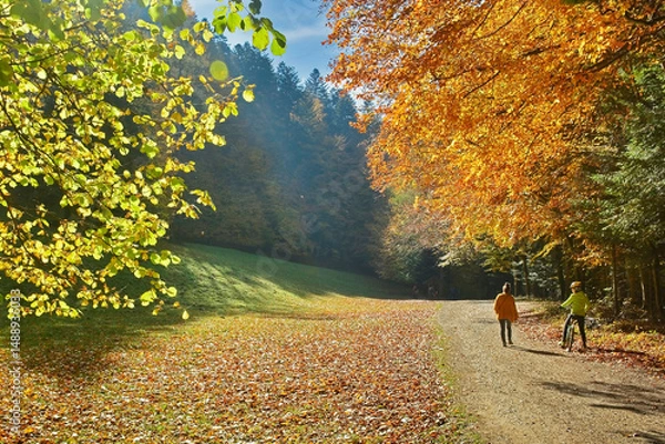 Obraz Tourists enjoying the vibrant autumn atmosphere, hiking and mountain biking through a beautiful forest.