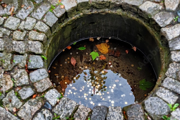 Fototapeta A small well with coins in a garden