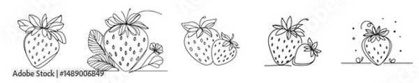 Fototapeta strawberry fruit vector continuous line style