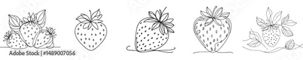 Fototapeta strawberry fruit vector continuous line style
