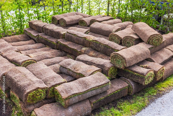 Fototapeta Close up view of stacked turf grass rolls prepared for lawn installation during spring landscaping work. Sweden.