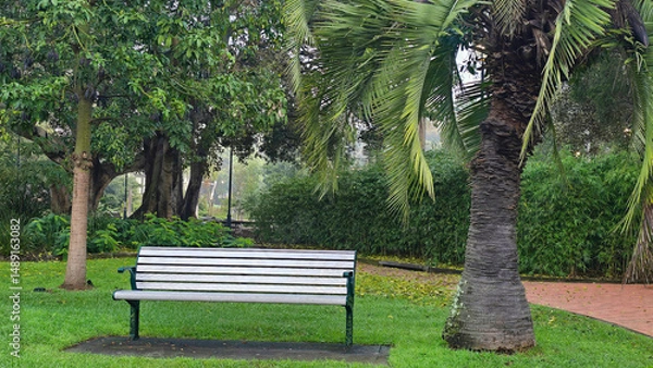Fototapeta A peaceful park bench sits empty on a grassy lawn, shaded by tall trees and palms. The foliage creates a tranquil atmosphere, inviting relaxation and contemplation.