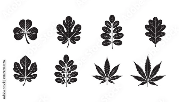 Obraz Oak leave, Cannabis Leaf, Clover, maple leaf, fig leaf, Birch leaf set ,silhouette vector illustration. isolated on white background. 