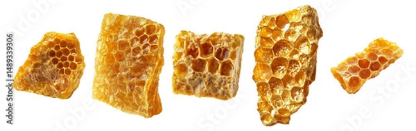 Obraz Natural Honeycomb Pieces on White Background with Textured Patterns, Isolated on Transparent, white background