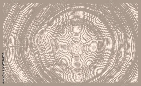 Fototapeta Monotone pink tan and nude botanical tree rings of end grain of wood slab. Growth rings art with texture and cracked surface.