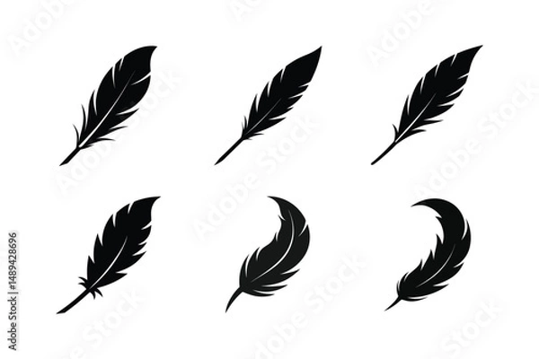 Fototapeta Bird feather silhouette  vector bundle  illustration, Set of bird feather silhouette 
