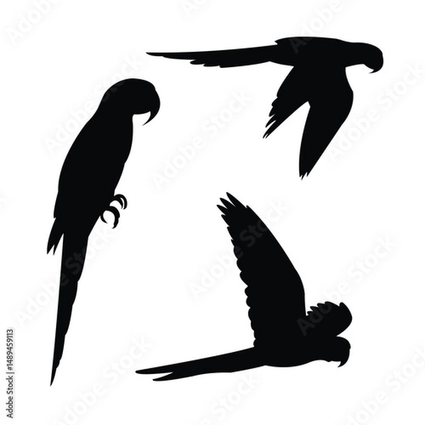 Fototapeta Vector Flying and Sitting Parrot Silhouette Set Isolated on White Background