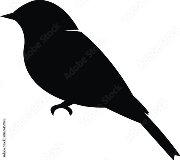 Fototapeta Small Bird Silhouette Perched on Branch Vector Isolated on White Background