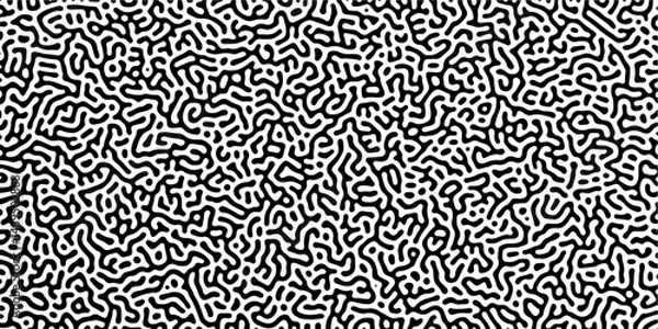 Fototapeta Diffusion reaction seamless vector pattern. Natural seamless line pattern. Linear design with biological shapes. Reaction-diffusion or truing pattern formation. abstract truing organic wallpaper.	