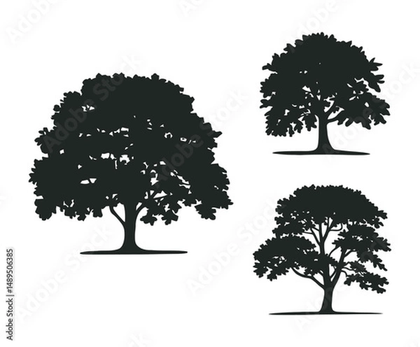 Fototapeta Isolated Oak Tree Silhouette on White Background