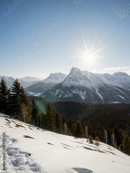 Fototapeta A snow covered mountain with evergreen trees.