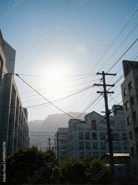 Fototapeta A sun in between building and trees.