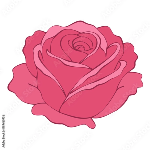 Obraz single elegant rose flower on white background. vector illustration