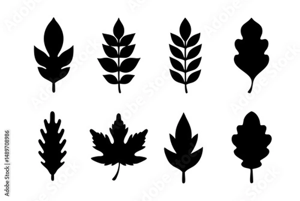 Fototapeta Leaf silhouette vector illustration