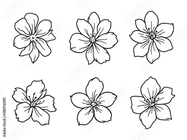 Obraz Jasmine line art vector illustration