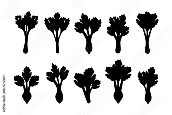 Obraz Celery bunch leafy vegetable silhouette set vector illustration