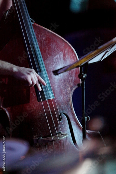 Fototapeta Double bass on the stage