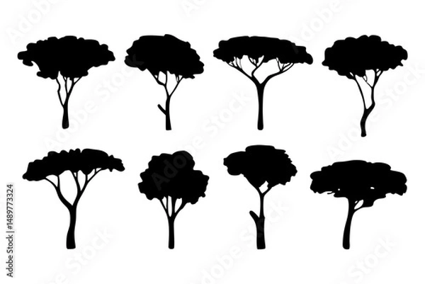 Obraz Mature stone pine tree silhouette icons vector illustration