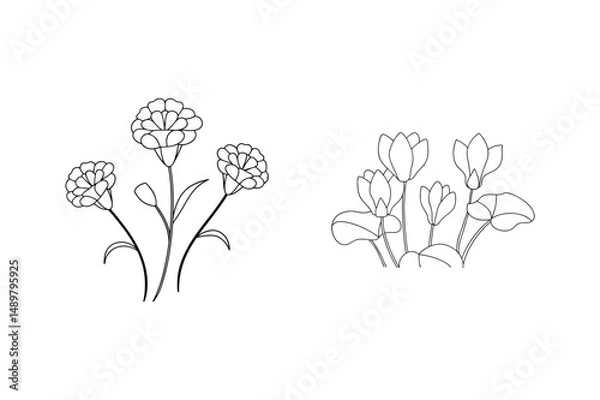 Fototapeta Elegant minimalist floral line drawings featuring carnations and cyclamen for creative designs