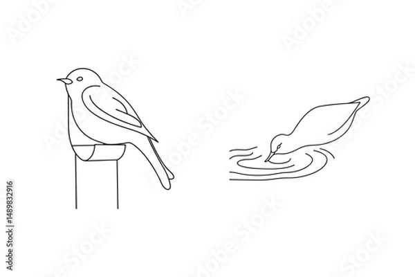 Fototapeta Minimalist black and white line art depicting a perched bird and a drinking bird