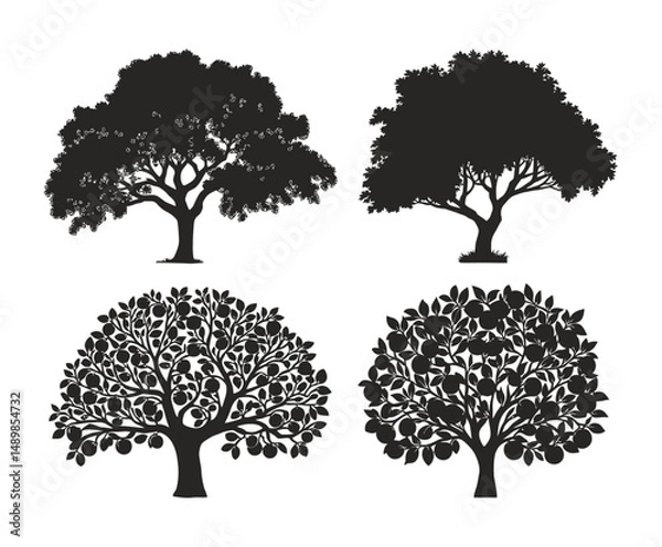 Fototapeta Botanic Orange Tree Silhouette Drawing Illustration
