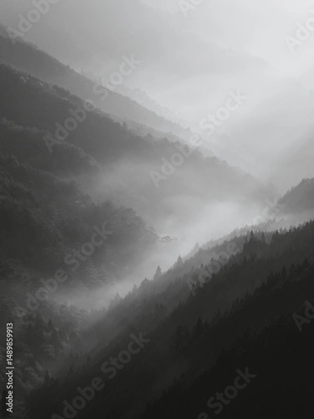 Obraz 山の霧の景色
