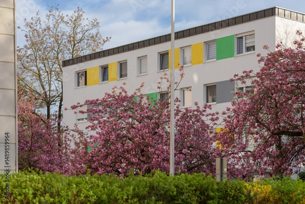 Obraz Kirschblüte in Waldkraiburg