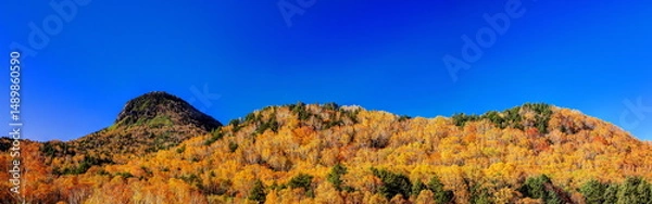 Fototapeta 志賀高原ほたる温泉からの紅葉（パノラマ）
