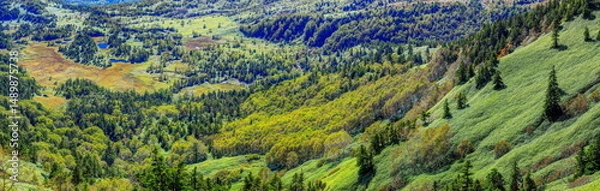 Fototapeta 初秋の芳ヶ平湿原（パノラマ）