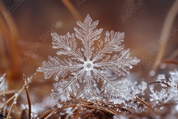 Fototapeta Mysterious Snowflakes, generated AI