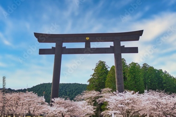 Obraz 熊野本宮大社 大鳥居