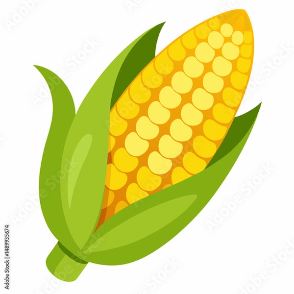 Obraz corn on a white background