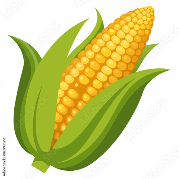 Obraz corn on a white background
