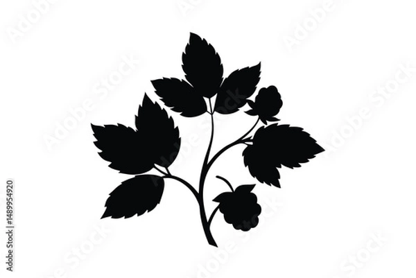 Obraz black and white flowers