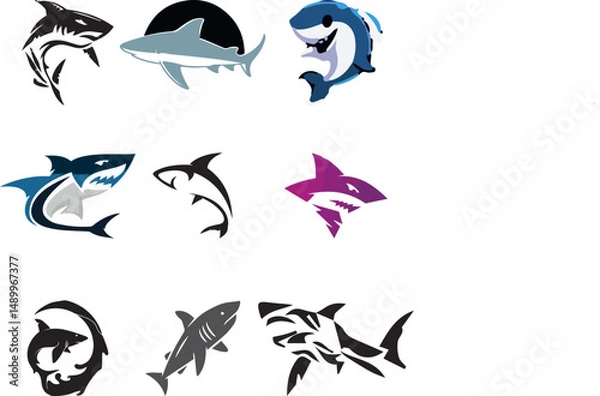 Obraz wild shark vector