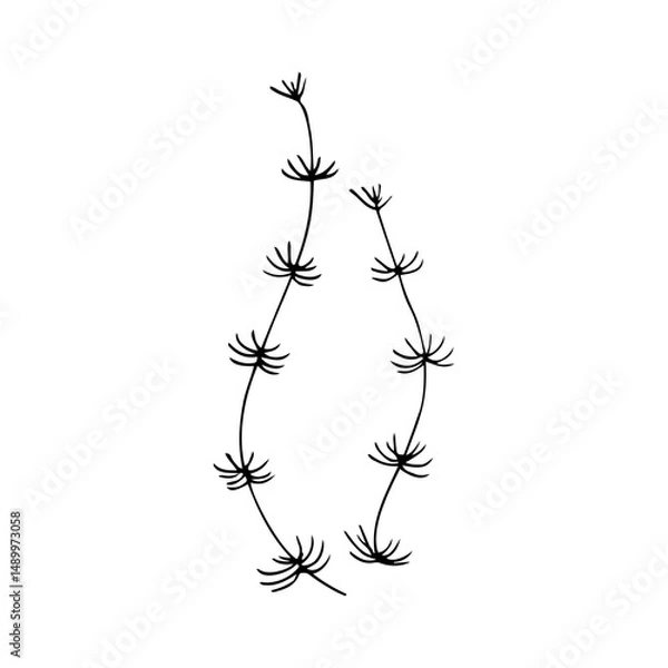 Fototapeta Simple hand-drawn illustration of seaweed in minimalistic line art style. Clean black outline on a white background. Perfect for ocean-themed designs, botanical prints, educational materials, coloring