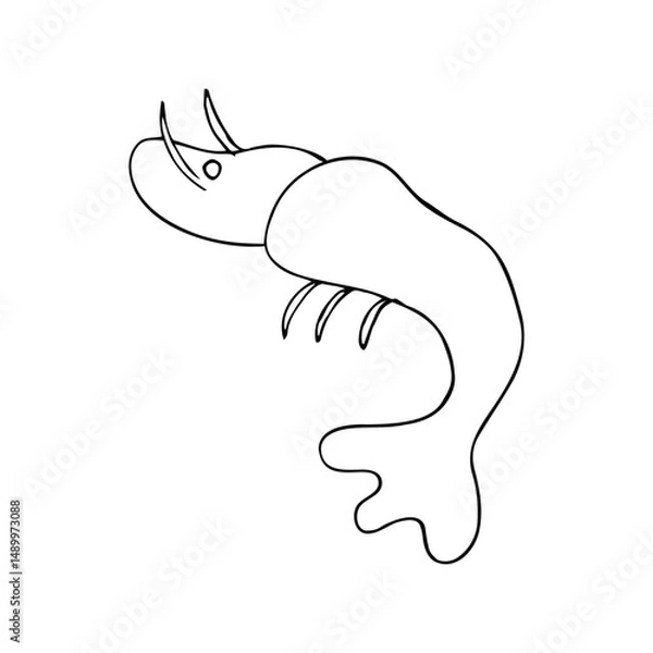 Fototapeta Simple hand-drawn illustration of a shrimp in minimalistic line art style. Clean black outline on a white background. Ideal for seafood-themed designs, coloring books, tattoo art, culinary visuals, an