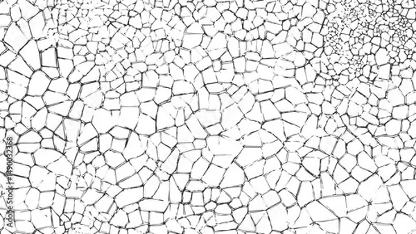 Fototapeta Fine cracks in the coating on the metal surface, texture of the wall a black and white vector of a cracked wall cracked cracked texture background,