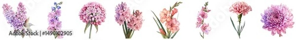 Fototapeta Delicate Arrangement of Various Pink and Purple Flowers on a Transparent Background