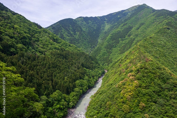 Fototapeta 日本の徳島県の祖谷渓のとても美しい風景