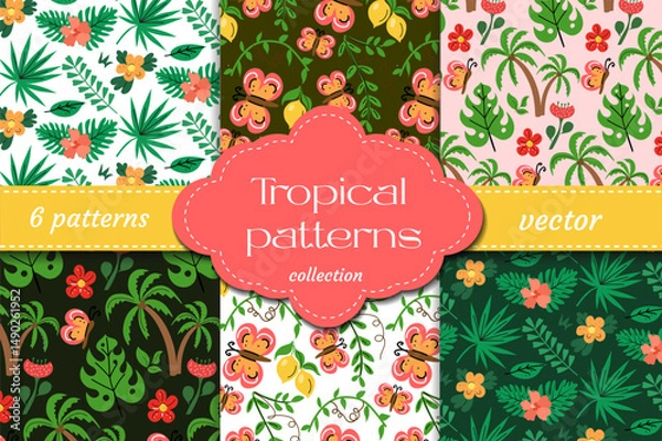 Fototapeta Colorful tropical seamless patterns with palm trees, butterflies, flowers and exotic leaves. Perfect for summer, vacation, packaging, fabric and beach-themed projects.