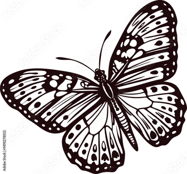 Fototapeta Detailed monochrome butterfly with intricate patterns and open wings