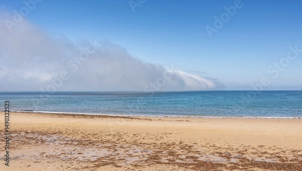 Fototapeta A wall of sea mist at the seaside and seaweed is on the sandy beach.