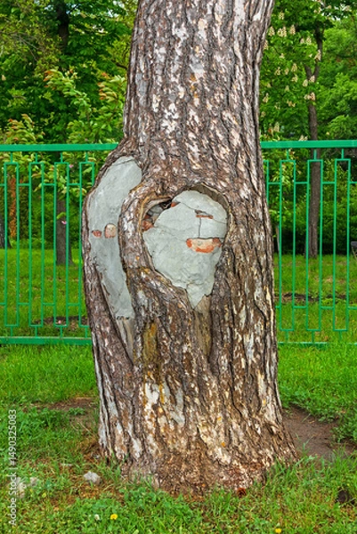 Obraz A wide trunk of an old tree in which a large hole is closed and protected with cement and bricks