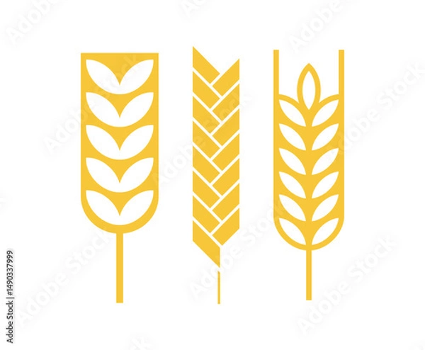 Obraz Cereal ear or spike outline icons. Wheat, rye, barley and millet vector natural grains. Yellow plant stalk for bread baking, isolated bakery, harvest and agriculture industry symbols. farm grains